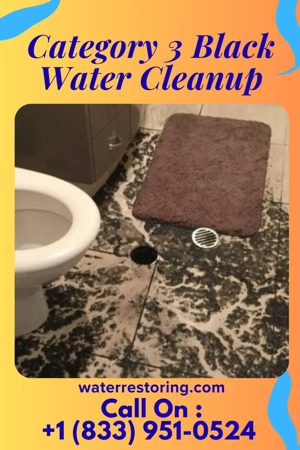 Category 3 Black Water Cleanup in Hannasville, PA