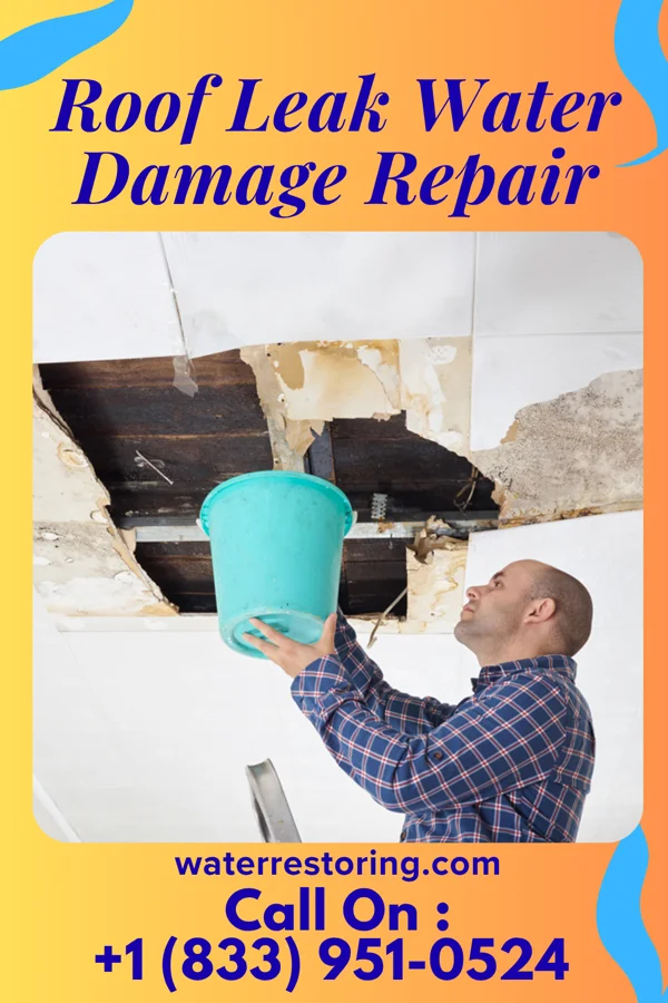 Roof Leak Water Damage Repair in Hannasville, PA
