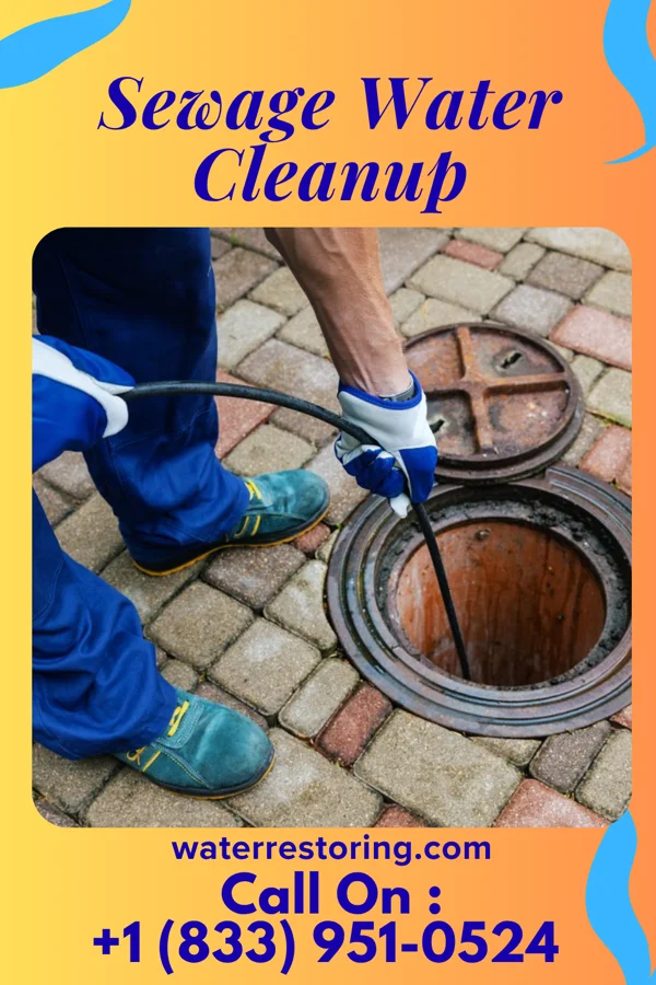 Sewage Water Cleanup in Hannasville, PA